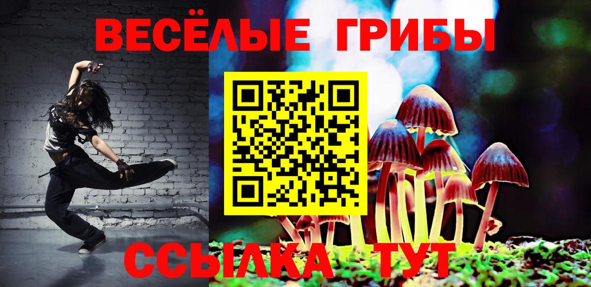 Галлюциногенные грибы мухоморы Канаш